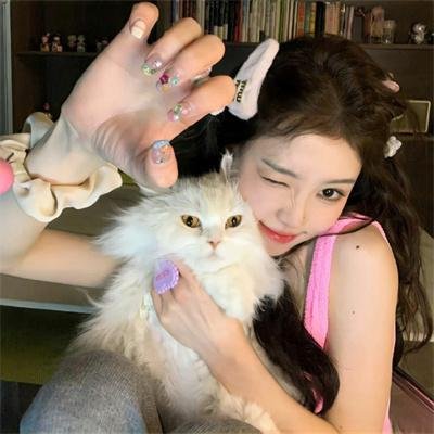 翠迪斗黑猫